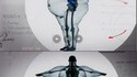 Modélisation en 3D du squellete d'un homme de 450 kg (faite à partie de radios)