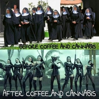 Café & cannabis: avant & après