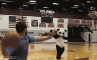 Chasse aux Pandas : headshot!