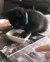 Pas touche, c'est à bibi !