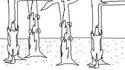 Les autres renards de la fable