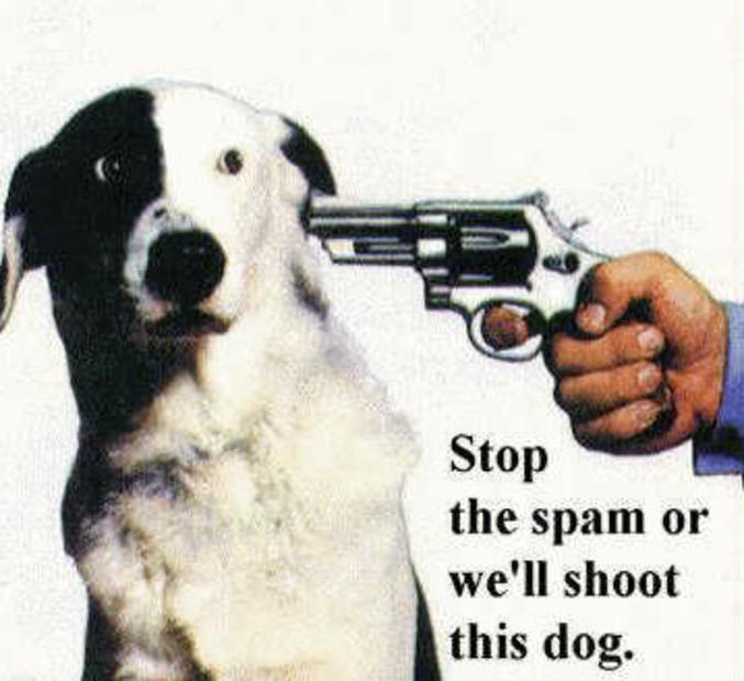 Arrêtez le Spam ou nous tuons ce chien.