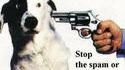 Stop aux Spams