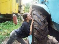 Lick my wheel
