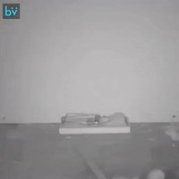 Là, le game est plié ... 