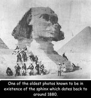 Sphinx à tête de mort