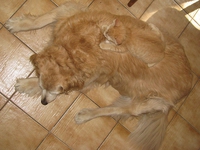 Ah on peut dire qu'ils savent bien se camoufler ceux-là ! (2)