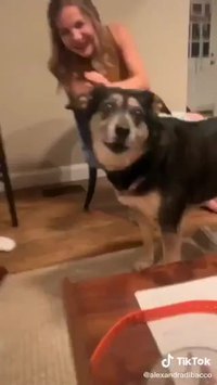 Ils essayent d’applaudir leur chienne pour voir si elle « sourit »