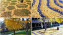 Kan vient l'automne