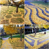 Kan vient l'automne