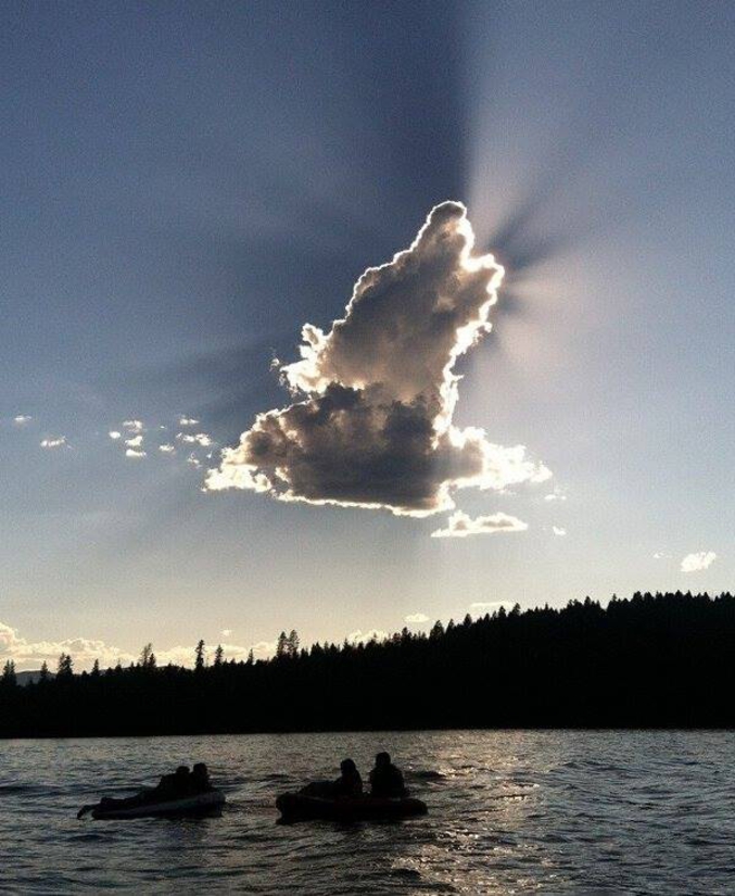 Une sorte de test de Rorschach : un nuage en forme de loup qui crie.