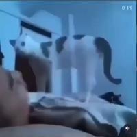 Pendant ce temps là en pleine nuit