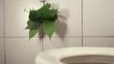 Toilettes d'un écolo