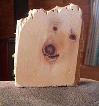 Noeuds dans une planche de bois