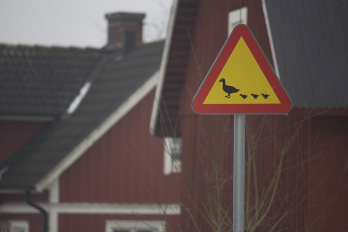 Drôle de panneau à Søhuset, Danemark (photo de Maiken Vestergaard, février 2014) 