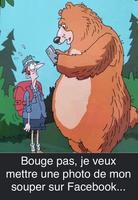 Les ours se mettent à la page sur les réseaux 