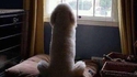Bon chien chien 
