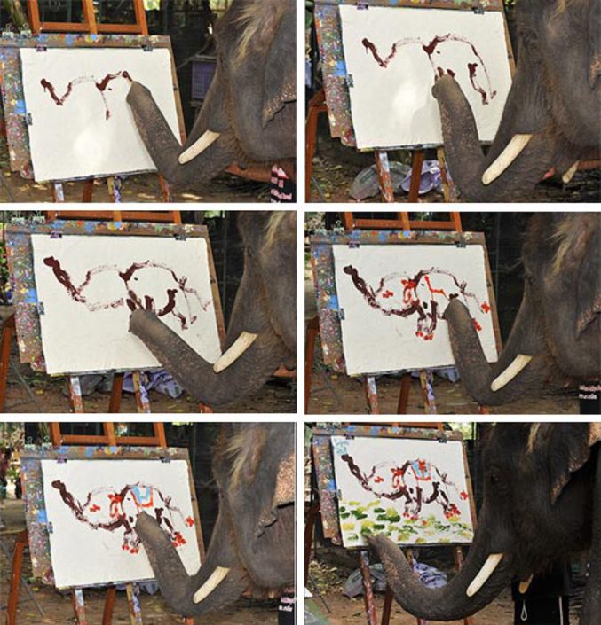Un éléphant semble peindre avec sa trompe.