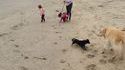 Balade à la plage
