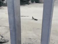 j'aime la solidarité du petit dernier...