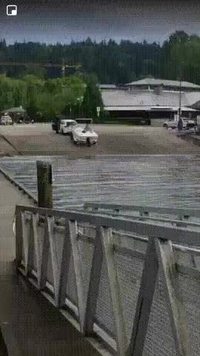 Un vrai fail, mais un faux darwin