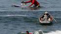 Chat surfeur