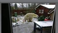 Pendant ce temps la dans le jardin 
