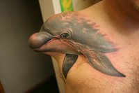 Tatouage dauphin