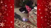 Je me souviens encore de ce noël où mes parents m'avaient offert une boite vide