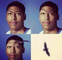 Like an eagle