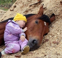 Enfant au cheval