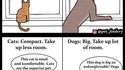 Chats vs chiens