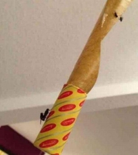 Attrape-mouche