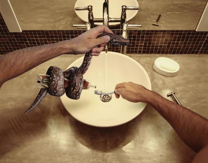 Un serpent utile pour se brosser les dents..