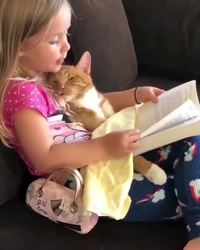Faire la lecture au chat