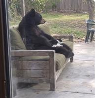 Ours & chat