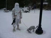 Petit AT-AT domestique