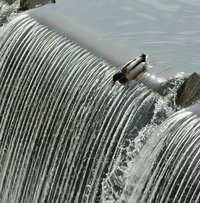La chute du canard