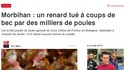 Il ne faut surtout pas les attaquer !!!