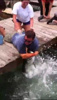 Attraper un tarpon