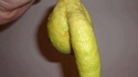 À la recherche des phallus perdus 219
