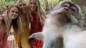 C'est un pote à nous qui a pris le selfy