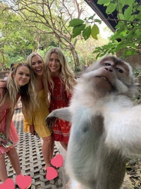 C'est un pote à nous qui a pris le selfy