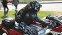 Chien motard