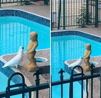 Vous prendrez bien un petit ver ?