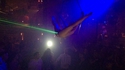 Ambiance laser en boite de nuit