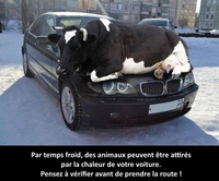 Prévention hivernale