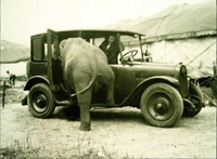 Début de la fameuse blague:"Comment fait-on monter...