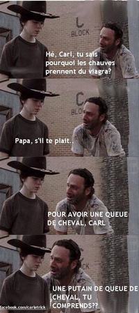 Les chauves et le viagra