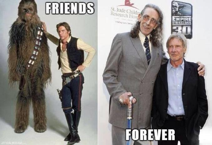 ...enfin, disons jusqu'au décès de Peter Mayhew en Avril 2019. Il faisait 2, 28 m et tenait le rôle de Chewbacca. On dit, mais que ne dit-on pas, que ses textes étaient très durs à apprendre ;-)